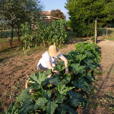 Glamping Prataccio Grosseto