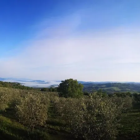 Luxury tent Glamping Prataccio Grosseto